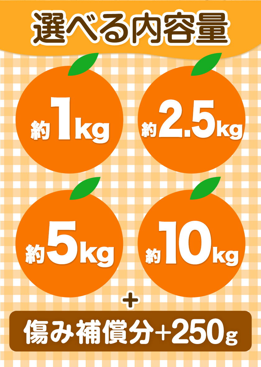 和歌山県日高町の画像3