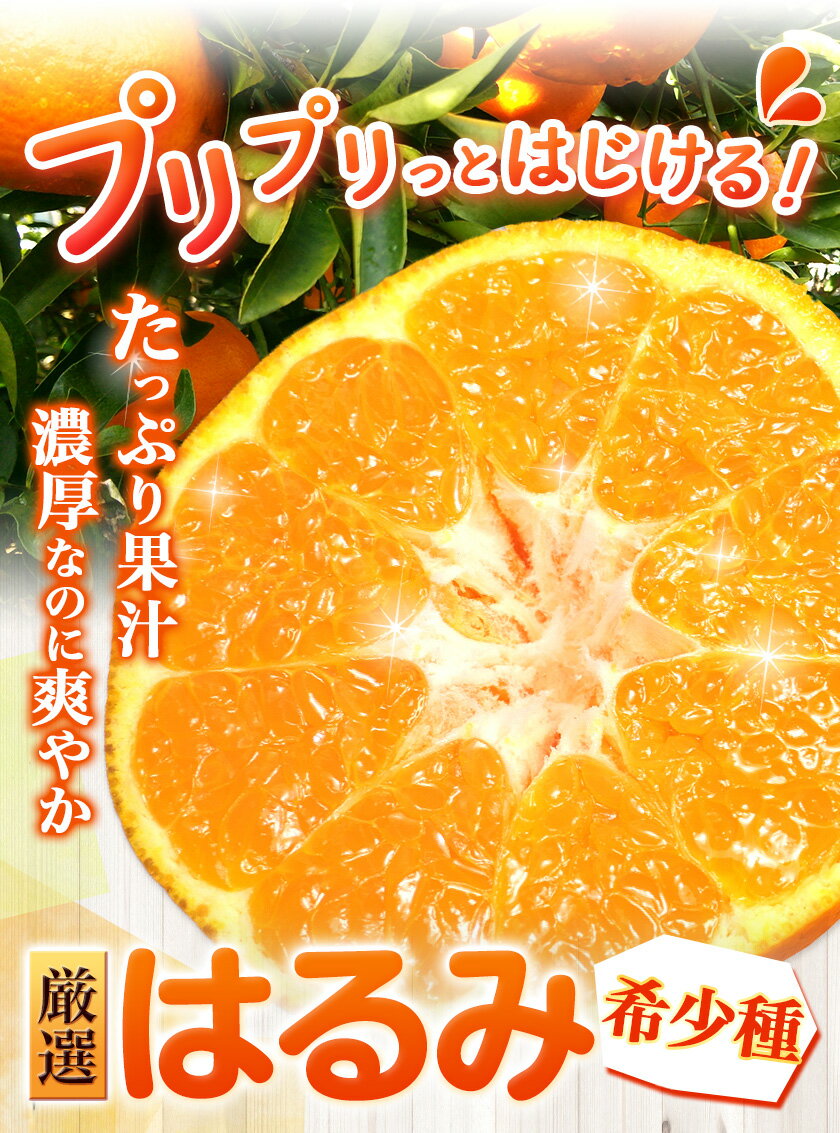 和歌山県日高町の画像2