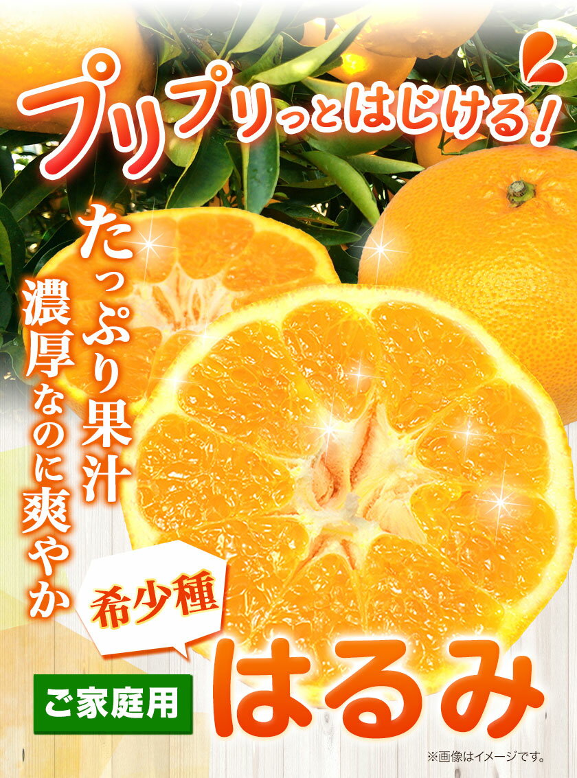 和歌山県日高町の画像2