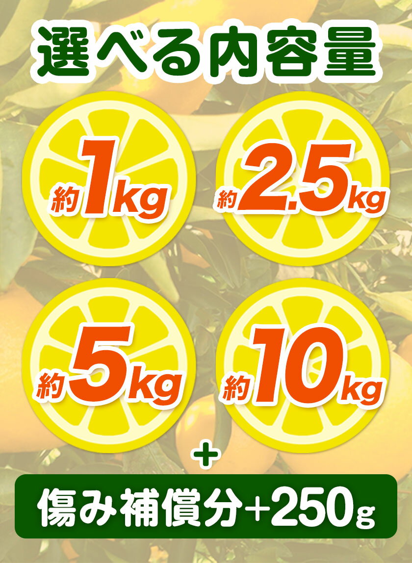 和歌山県日高町の画像3