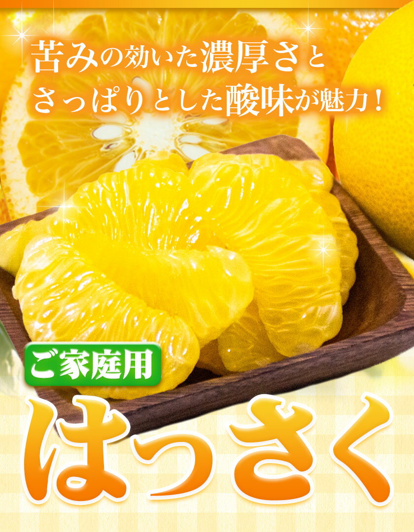 【ふるさと納税】＜1月より発送＞ご家庭用 訳あり はっさく 八朔 みかん 選べる 1kg +250g 2.5kg +250g 5kg +250g 10kg +250g 池田鹿蔵農園 日高町《2025年1月上旬-3月末頃出荷》和歌山県 日高町 送料無料 はっさくみかん 八朔 訳ありはっさく【配送不可地域あり】