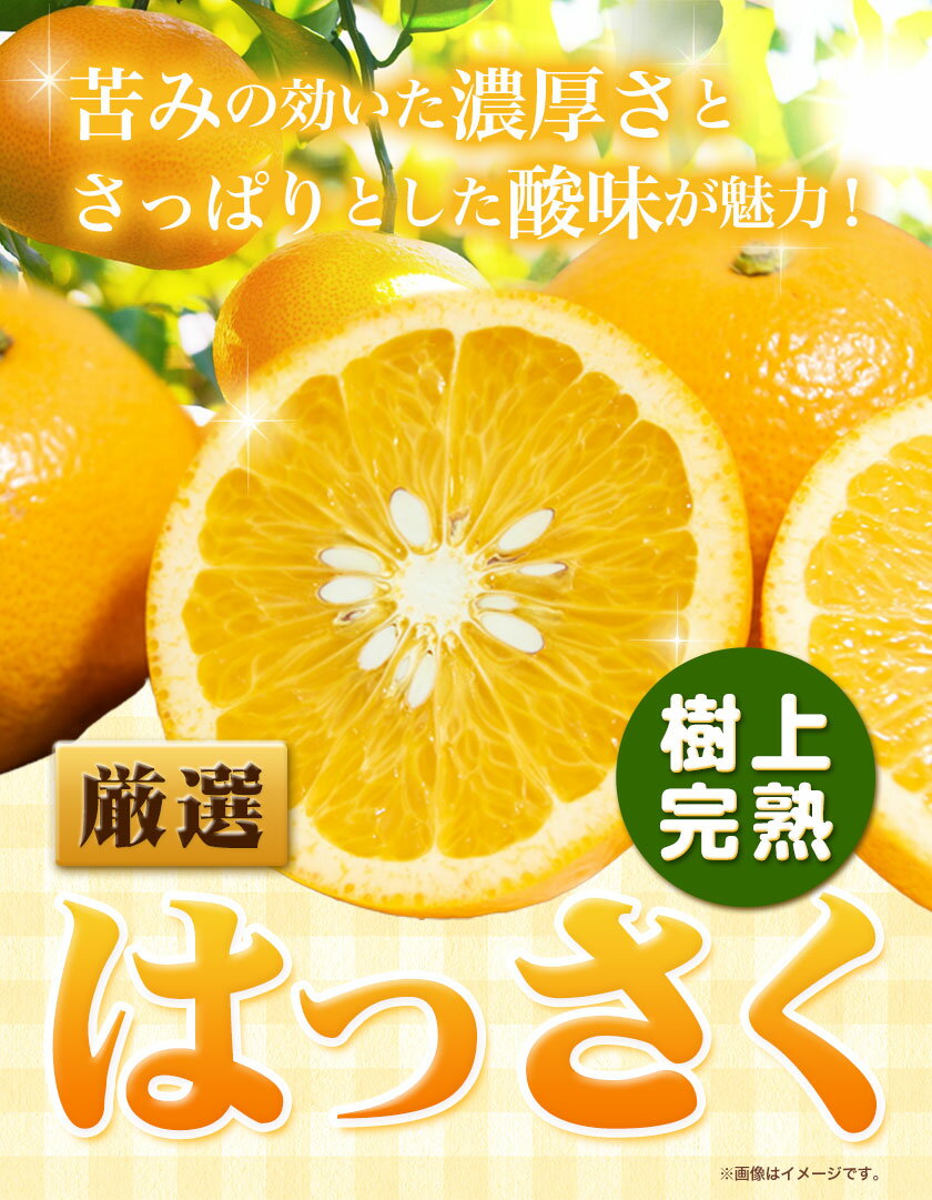 和歌山県日高町の画像2