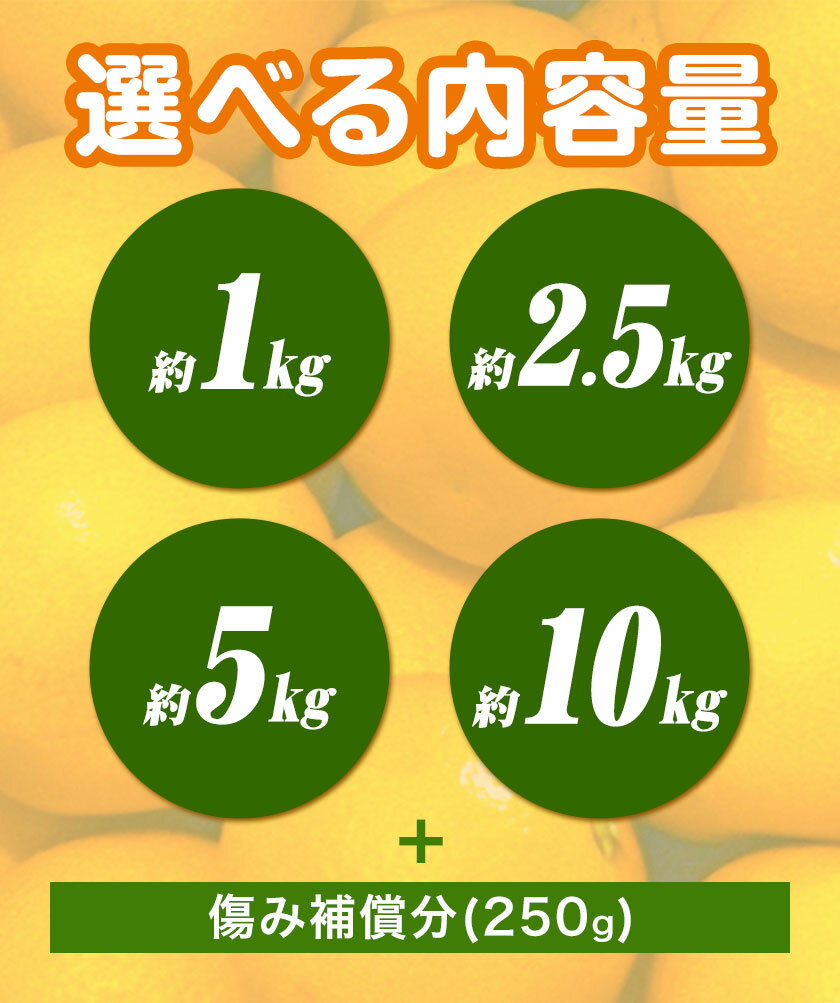 和歌山県日高町の画像3