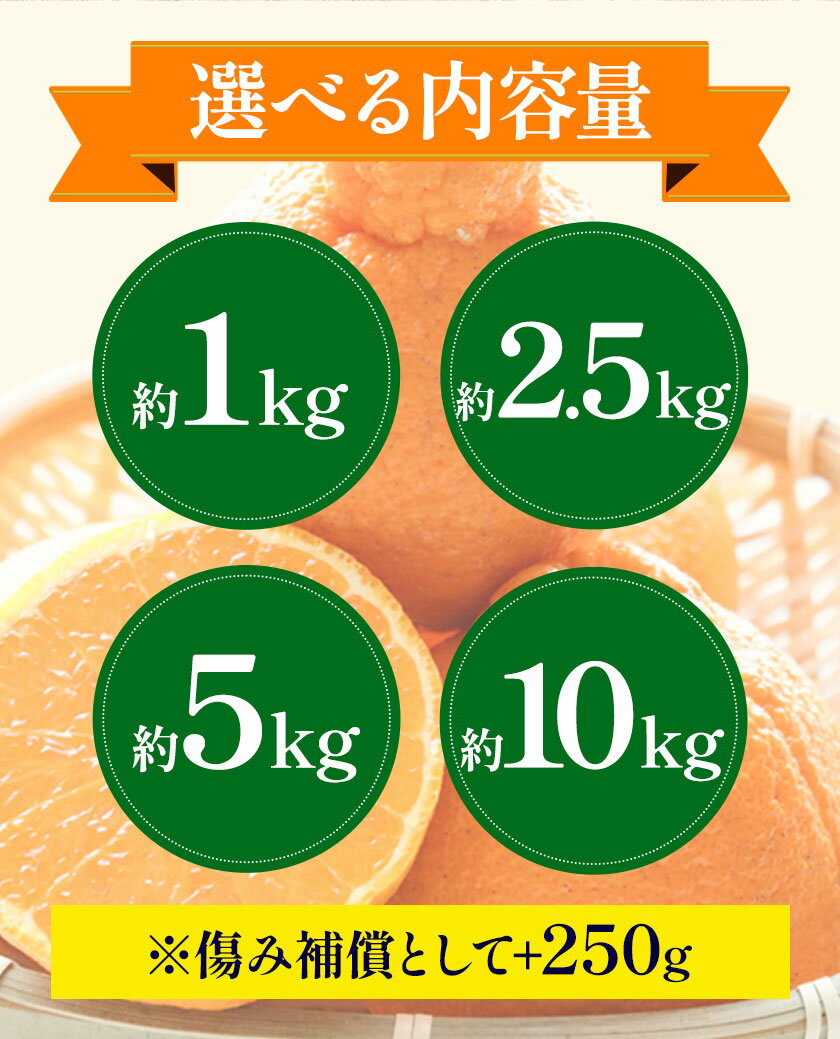 和歌山県日高町の画像3