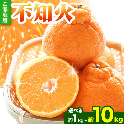 訳あり 不知火 デコポン 同品種 みかん ご家庭用 選べる 1kg 2.5kg 5kg 10kg 傷み補償分付き 池田鹿蔵農園 @日高町 [2月上旬-3月末頃出荷]和歌山県 日高町 送料無料 しらぬい でこぽん 家庭用[配送不可地域あり]