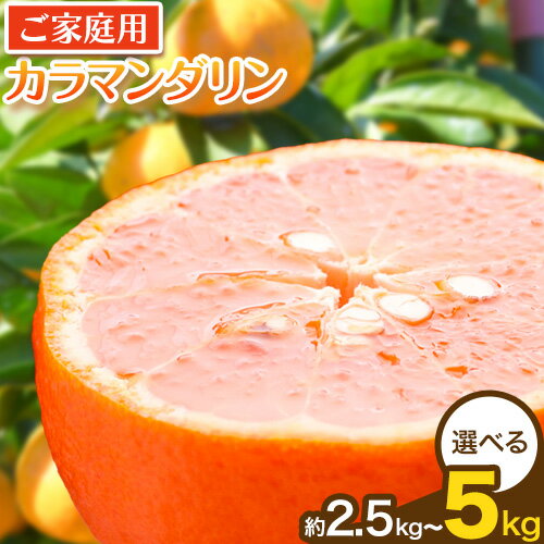 【ふるさと納税】【先行予約】家庭用 カラマンダリン2.5kg 4kg 5kg（傷み補償分）南津海・なつみ 訳あり わけあり 希少な春柑橘 池田鹿蔵農園《2025年4月上旬-6月上旬頃出荷予定》 和歌山県 日高町 みかん 柑橘 フルーツ 送料無料【配送不可地域あり】