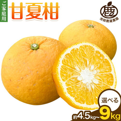 【ふるさと納税】ご家庭用 甘夏柑 4.5kg 8kg 9kg（傷み補償分）池田鹿蔵農園《4月上旬-6月上旬頃出荷予定》 和歌山県 日高町 みかん 柑橘 フルーツ 送料無料 甘夏 くだもの【配送不可地域あり】