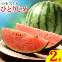 24位! 口コミ数「0件」評価「0」とっても甘い 食べきりサイズの小玉スイカ ひとりじめ 2玉入 株式会社はし長 《2024年5月中旬-7月上旬頃出荷》 和歌山県 日高町 スイ･･･ 