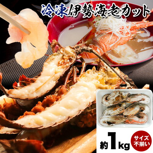 【ふるさと納税】えび エビ 冷凍 伊勢海老カット 約 1kg (サイズ不揃い) 株式会社はし長 《30日以内に出荷予定(土日祝除く)》和歌山県 日高町 伊勢えび 伊勢海老 カット済