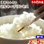 【ふるさと納税】精米 米 こめ 令和5年産 選べる ミルキープリンセス 2kg or 3kg or 5kg 津村佳宏《90日以内に出荷予定(土日祝除く)》和歌山県 日高町 精米 ごはん ご飯 食卓 選べる品種