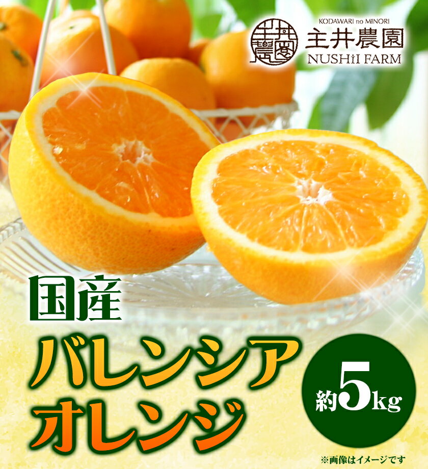 【ふるさと納税】国産バレンシアオレンジ 約5kg 主井農園《6月上旬-8月中旬頃出荷》 和歌山県 日高町 果物 フルーツ オレンジ 柑橘 みかん 蜜柑 おれんじ 送料無料