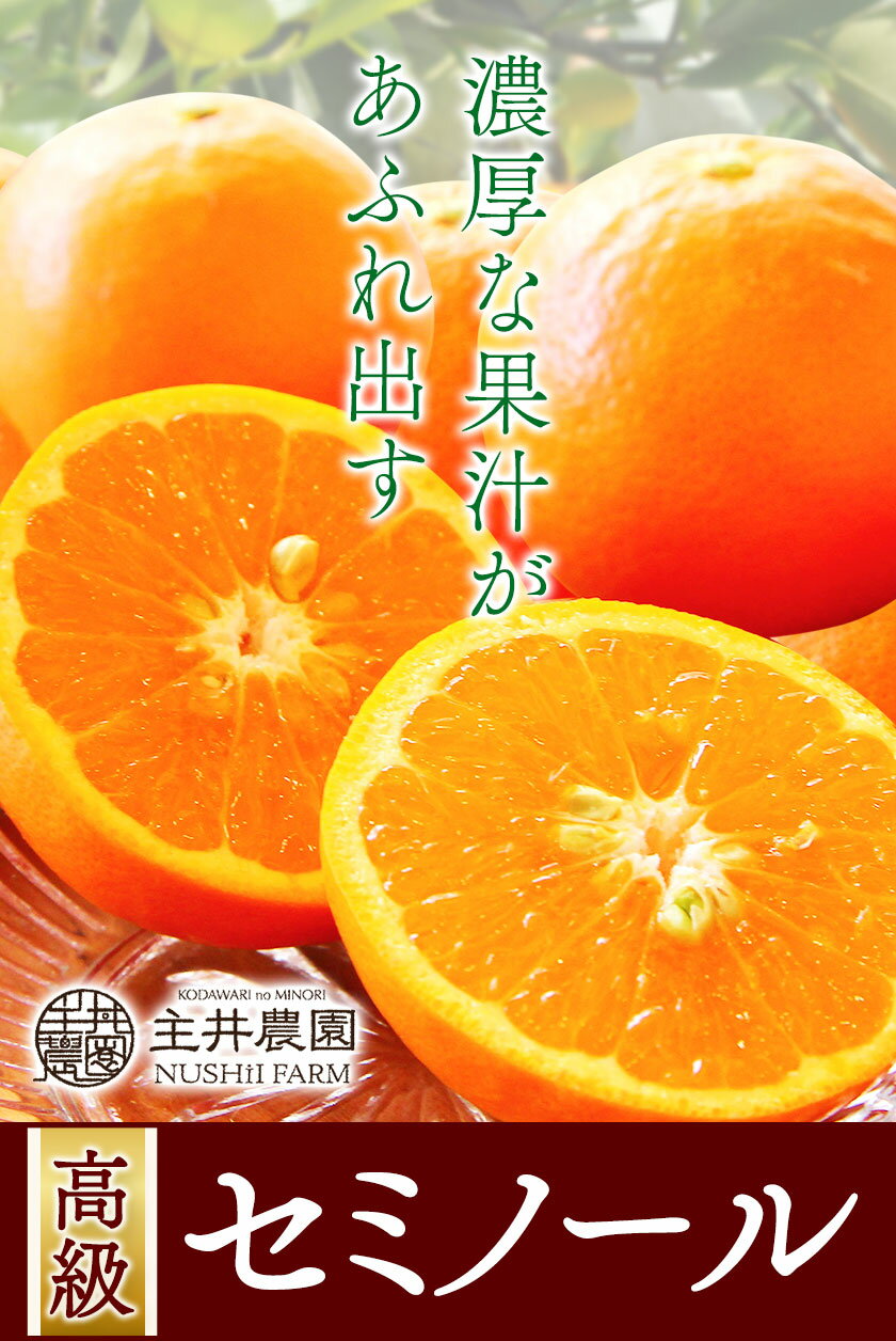 【ふるさと納税】柑橘 高級セミノール 選べる 約 5kg 約 10kg 主井農園《4月下旬-6月中旬頃出荷》 和歌山県 日高町 セミノール オレンジ みかん 柑橘 高級 希少 送料無料