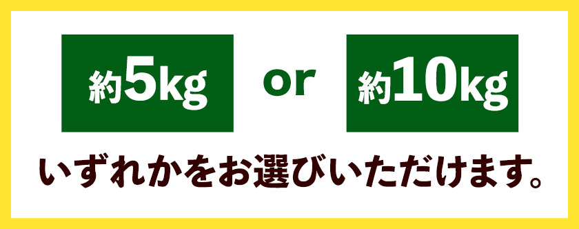 【ふるさと納税】柑橘 高級セミノール 選べる 約 5kg 約 10kg 主井農園《4月下旬-6月中旬頃出荷》 和歌山県 日高町 セミノール オレンジ みかん 柑橘 高級 希少 送料無料