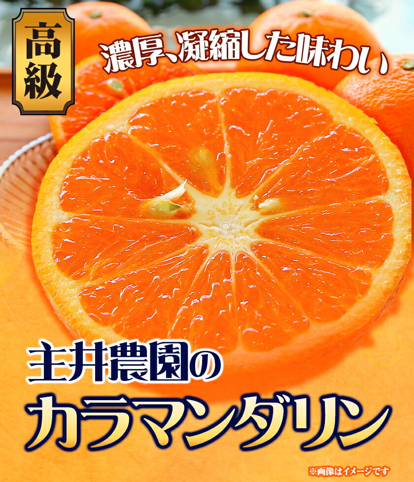 【ふるさと納税】高級カラマンダリン 選べる 約2.5kg 約5kg 約10kg 主井農園《4月上旬-5月下旬頃出荷》 和歌山県 日高町 カラマンダリン みかん 高級 果物 送料無料