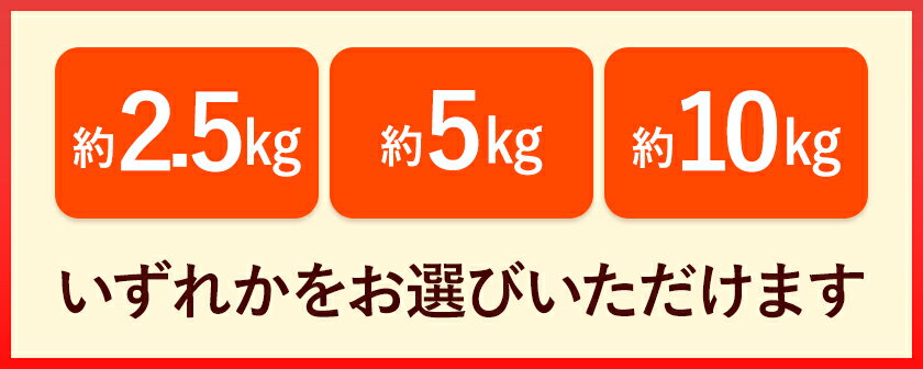 【ふるさと納税】高級カラマンダリン 選べる 約2.5kg 約5kg 約10kg 主井農園《4月上旬-5月下旬頃出荷》 和歌山県 日高町 カラマンダリン みかん 高級 果物 送料無料
