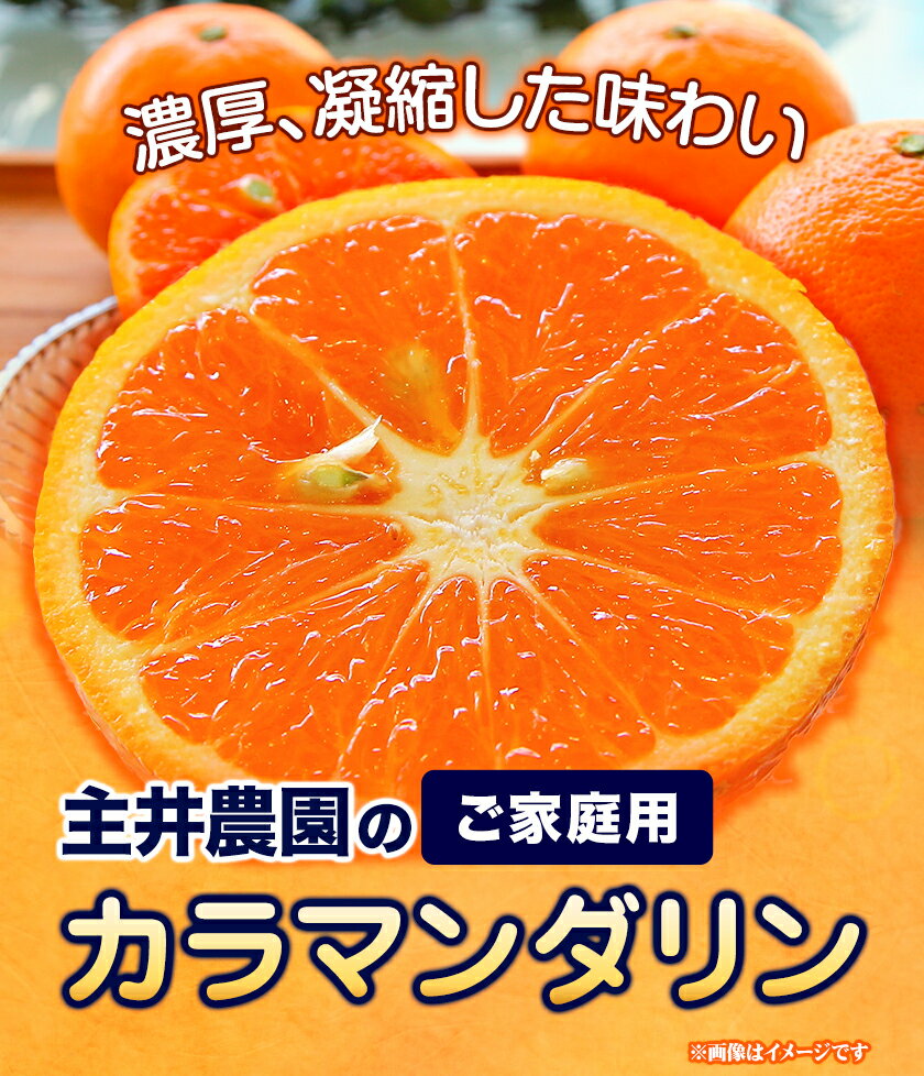 【ふるさと納税】カラマンダリン ご家庭用 選べる 約5kg 約7kg 主井農園《4月上旬-5月下旬頃出荷》 和歌山県 日高町 カラマンダリン 訳あり 家庭用 みかん 訳ありみかん 果物 送料無料