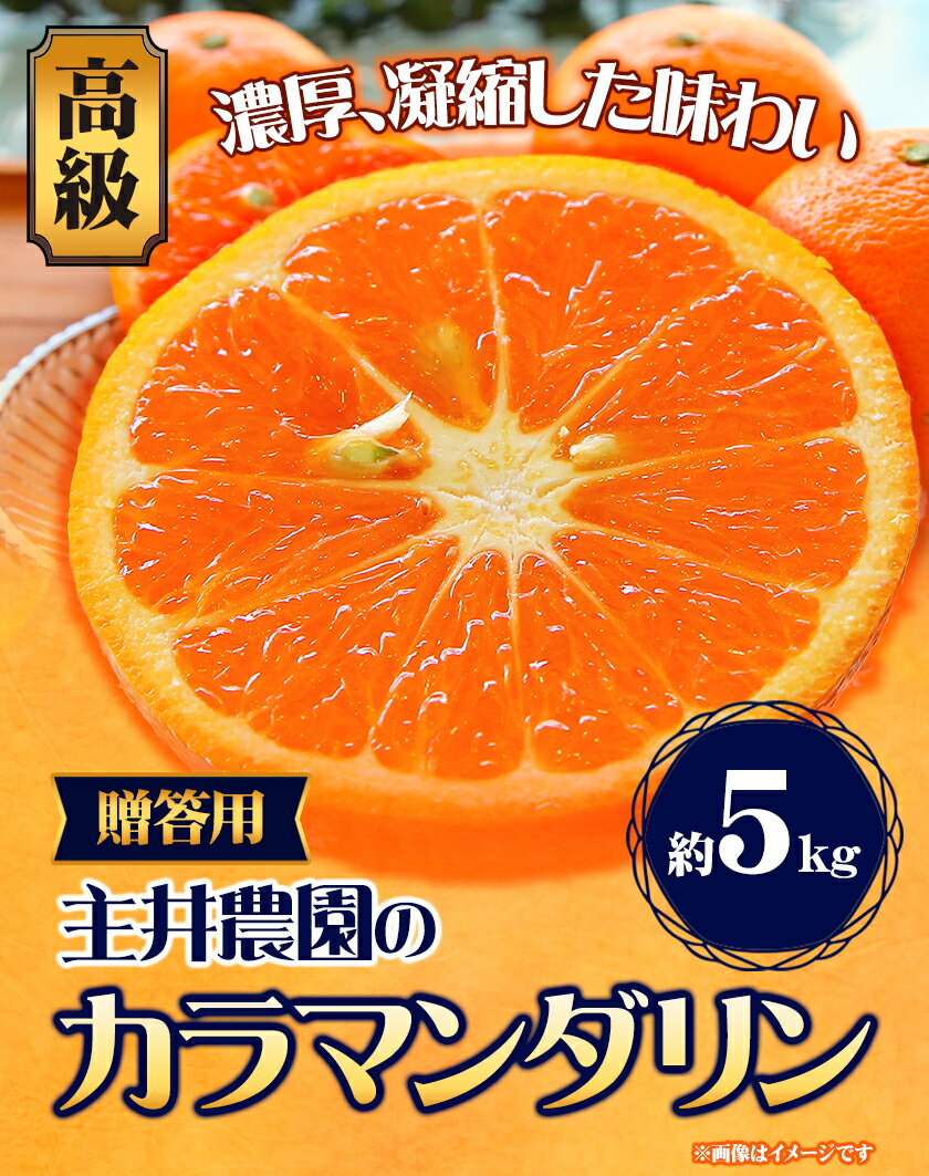 【ふるさと納税】 高級カラマンダリン贈答用 約5kg 主井農園《4月上旬-5月下旬頃出荷》 和歌山県 日高町 カラマンダリン みかん 高級 贈答用 贈り物 おくりもの プレゼント ギフト 記念日 送料無料