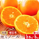 【ふるさと納税】柑橘 高級 セミノール 贈答用 選べる 内容量 約 2.5kg 約 5kg 主井農園《4月下旬-6月中旬頃出荷》 和歌山県 日高町 セミノール 柑橘 高級 贈答用 贈り物 みかん オレンジ プレゼント ギフト 記念日 送料無料(4)