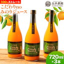 14位! 口コミ数「0件」評価「0」主井農園のこだわりnoみのりジュース 720ml × 3本 主井農園《90日以内に発送予定》 和歌山県 日高町 柑橘 みかん ジュース 10･･･ 