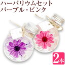 【ふるさと納税】ハーバリウム2本セット(パープル・ピンクの2色) 香華《30日以内に出荷予定(土日祝除く)》 和歌山県 日高町 花 インテリア フラワーギフト