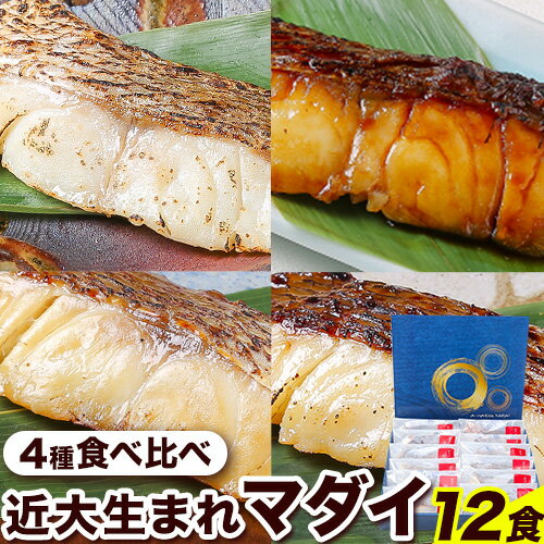 近大生まれマダイ 焼味4種 食べ比べセット 12食(4種×3食入り) アーマリン近大 [90日以内に出荷予定(土日祝除く)]和歌山県 日高町 鯛 真鯛 惣菜 レトルト 西京焼き 塩焼き 照り焼き 照焼 柚庵焼き 焼き魚 おかず お弁当