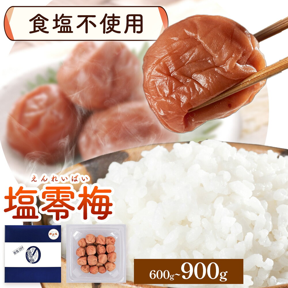 塩零梅 梅干し 紀州南高梅 食塩不使用 有限会社プラム 選べる内容量 600g 900g[30日以内に出荷予定(土日祝除く)]和歌山県 日高町 送料無料 梅 うめ ウメ 南高梅 紀州 送料無料