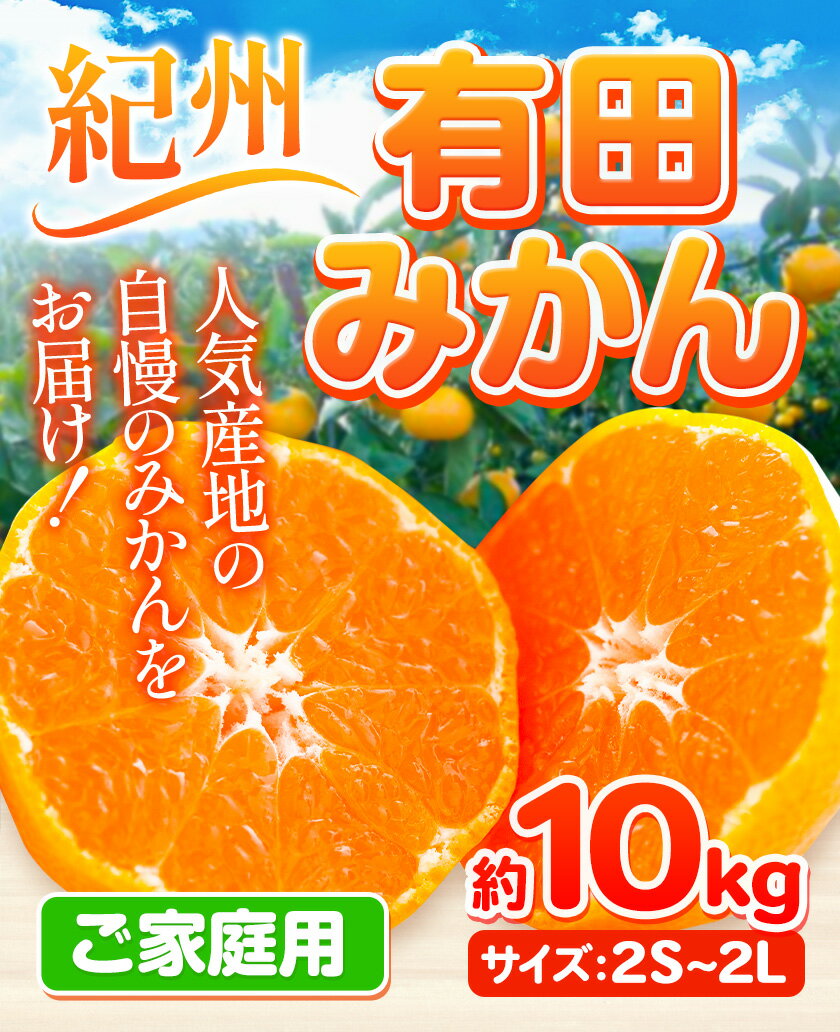 【ふるさと納税】紀州有田みかん ( ご家庭用 キズアリ) 約10kg (2S~2L いずれかお届け) ライスショップスマイル 《11月下旬-1月中旬頃出荷予定》 和歌山県 日高町 みかん 有田みかん 柑橘 フルーツ ミカン 訳ありみかん わけあり 家庭用みかん 蜜柑 送料無料