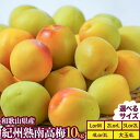 【ふるさと納税】紀州熟南高梅 約10kg 選べるサイズ MまたはLサイズ Lまたは2Lサイズ 2Lまたは3Lサイズ 3Lまたは4Lサイズ 大玉4Lサイズ ふるさ...