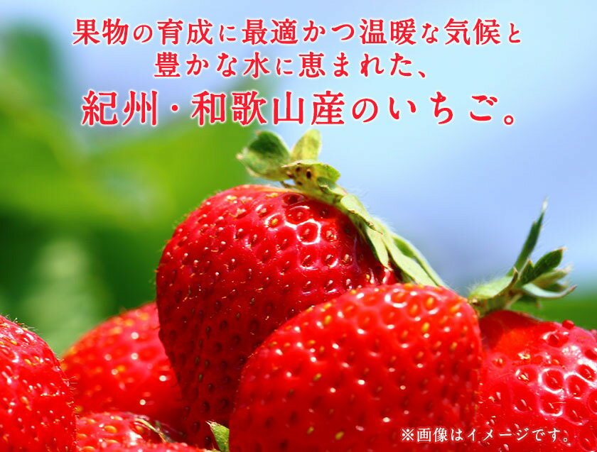 【ふるさと納税】和歌山県産 秀品 完熟まりひめ1箱 (2パック入り) 株式会社松源《2026年1月下旬-3月上旬頃出荷》和歌山県 日高町
