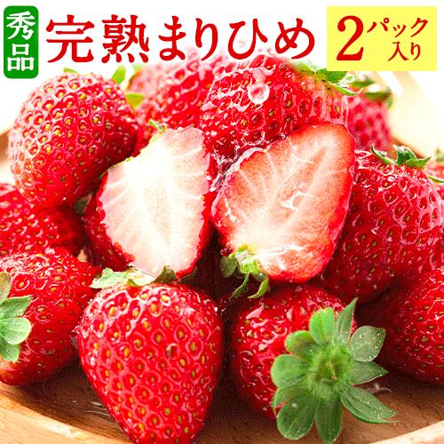 【ふるさと納税】和歌山県産 秀品 完熟まりひめ1箱 (2パック入り) 株式会社松源《2026年1月下旬-3月上旬頃出荷》和歌山県 日高町 【ふるさと納税】和歌山県産 秀品 完熟まりひめ1箱 (2パック入り) 株式会社松源《2026年1月下旬-3月上旬頃出荷》和歌山県 日高町