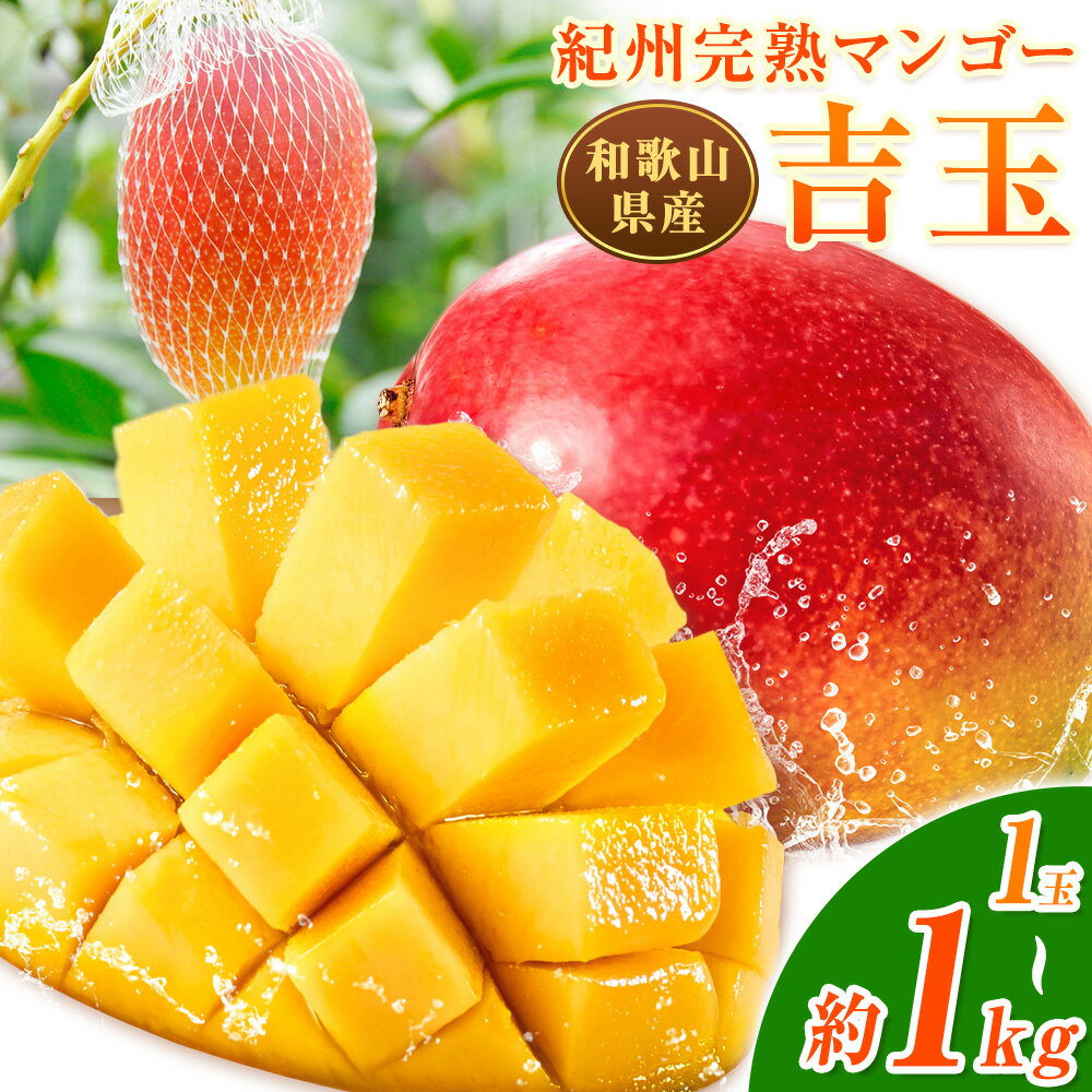 【ふるさと納税】和歌山県産 紀州 完熟 マンゴー 『吉玉』選べる 1玉 2玉 約1kg 株式会社松源 【日付指定不可】《7月中旬-9月上旬頃出荷》和歌山県 日高町 マンゴー 完熟 送料無料 【配送不可地域あり】