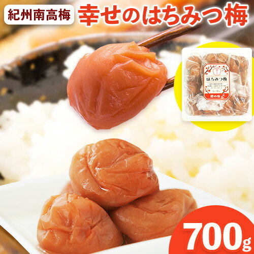 【ふるさと納税】幸せの はちみつ 梅 700g 有限会社 樽の味《30日以内に出荷予定(土日祝除く)》梅干し 無添加 和歌山県 日高町 送料無料 梅干し はちみつ うめぼし 蜂蜜 梅 紀州 南高梅 ごはんのお供 おつまみ に最適！ 漬け物 漬物 おかずのサムネイル