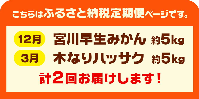 【ふるさと納税】【発送月固定定期便】農家直送！ご家庭用 2種の柑橘定期便 【訳あり】全2回 約 5kg 合計10kg 笑いの里のTommyファーム《12月上旬-3月末頃出荷》和歌山県 日高町 みかん 定期便 早生 柑橘 フルーツ 果物 ミカン はっさく ハッサク 八朔 産地直送 送料無料