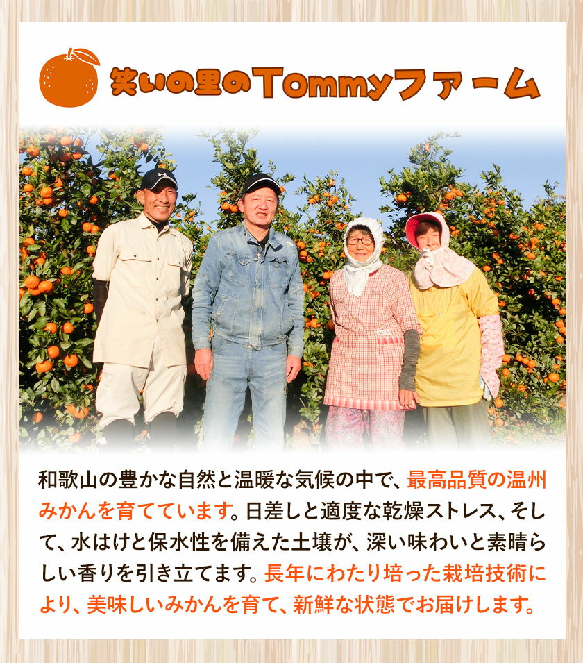 【ふるさと納税】 秀品 贈答用 宮川 早生 みかん 約 10kg (2S〜2Lサイズ) 笑いの里のTommyファーム《11月下旬-1月上旬頃出荷》和歌山県 日高町 みかん 早生 贈答用 旬 柑橘 フルーツ 果物 ミカン 柑 産地直送 箱入り