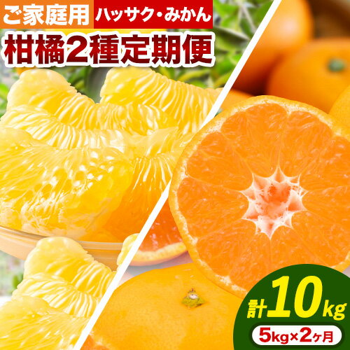 【ふるさと納税】【発送月固定定期便】農家直送！ご家庭用 2種の柑橘定期便 【訳あり】全2回 約 5kg 合計10kg 笑いの里のTommyファーム《12月上旬-3月末頃出荷》和歌山県 日高町 みかん 定期便 早生 柑橘 フルーツ 果物 ミカン はっさく ハッサク 八朔 産地直送 送料無料