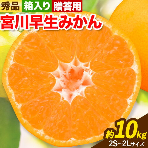 【ふるさと納税】 秀品 贈答用 宮川 早生 みかん 約 10kg (2S〜2Lサイズ) 笑いの里のTommyファーム《11月下旬-1月上旬頃出荷》和歌山県 日高町 みかん 早生 贈答用 旬 柑橘 フルーツ 果物 ミカン 柑 産地直送 箱入り 【ふるさと納税】 秀品 贈答用 宮川 早生 みかん 約 10kg (2S〜2Lサイズ) 笑いの里のTommyファーム《11月下旬-1月上旬頃出荷》和歌山県 日高町 みかん 早生 贈答用 旬 柑橘 フルーツ 果物 ミカン 柑 産地直送 箱入り
