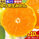 27位! 口コミ数「0件」評価「0」秀品 贈答用 ゆら 早生みかん 約 10kg (2S～2Lサイズ) 笑いの里のTommyファーム《10月中旬-11月末頃出荷》和歌山県 日高･･･ 