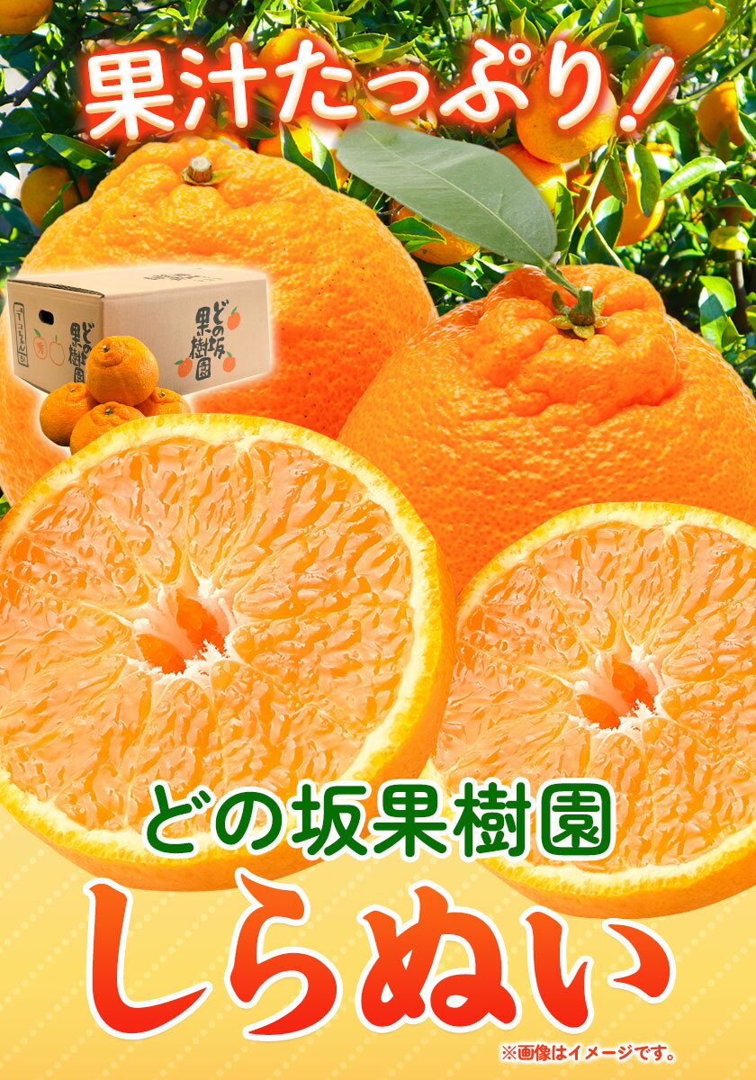 【ふるさと納税】不知火 ( デコポン と同品種 ) しらぬい 約 5kg または 約 10kg (L〜5Lサイズ) どの坂果樹園《2026年2月中旬-4月上旬頃出荷》 和歌山県 日高町 しらぬい 不知火 デコポン でこぽん 旬 果物 フルーツ 柑橘 産地直送 送料無料