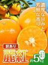 和歌山県日高町の画像2