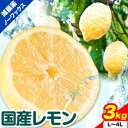 商品情報 国産レモン 名称 レモン 産地 和歌山県産 内容量 3kg(L～4Lサイズ) 配送方法 冷蔵便でお届けします。 提供元 どの坂果樹園 ・ふるさと納税よくある質問はこちら ・寄附申込みのキャンセル、返礼品の変更・返品はできません。あらかじめご了承ください。 日高川町と日高町の共通返礼品になります。寄附金の用途について 「ふるさと納税」寄附金は、下記の事業を推進する資金として活用してまいります。寄附を希望される皆さまの想いでお選びください。 [1]町長の推進する事業に関すること [2]子育て・教育環境の充実に関すること [3]生活の快適性の向上に関すること [4]地域文化の保存・活用に関すること