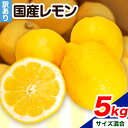 3位! 口コミ数「0件」評価「0」レモン 訳あり 国産 レモン 5kg (サイズ混合) ノーワックス 減農薬 どの坂果樹園《2024年2月上旬-6月末頃出荷》 和歌山県 日高･･･ 