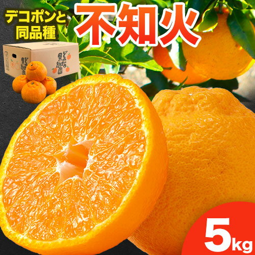 【ふるさと納税】不知火 ( デコポン と同品種 ) しらぬい 約 5kg (L~5Lサイズ) どの坂果樹園《2025年2月中旬-4月上旬頃出荷》 和歌山県 日高町 しらぬい 不知火 デコポン でこぽん 旬 果物 フルーツ 柑橘 産地直送 送料無料