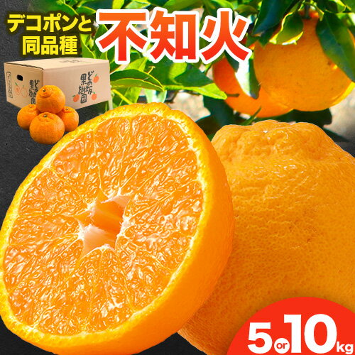 不知火 ( デコポン と同品種 ) しらぬい 約 5kg または 約 10kg (L〜5Lサイズ) どの坂果樹園[2026年2月中旬-4月上旬頃出荷] 和歌山県 日高町 しらぬい 不知火 デコポン でこぽん 旬 果物 フルーツ 柑橘 産地直送 送料無料