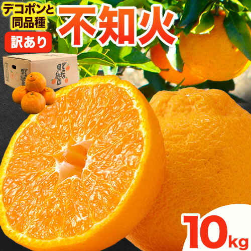 11位! 口コミ数「1件」評価「4」訳あり 不知火 ( デコポン と同品種 ) しらぬい 約 10kg (M〜5Lサイズ) どの坂果樹園《2026年2月上旬-4月上旬頃出荷》 和歌山県 日高町 しらぬい でこぽん 旬 果物 フルーツ 柑･･･ 