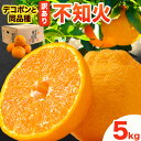 【ふるさと納税】訳あり 不知火 ( デコポン と同品種 ) しらぬい 約 5kg (M〜5Lサイズ) どの坂果樹園《2026年2月上旬-4月上旬頃出荷》 和歌山...