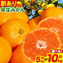 【ふるさと納税】みかん 和歌山 訳あり 早生 みかん 選べる 5kg 10kg ( サイズ おまかせ ) どの坂果樹園《12月上旬-1月末頃出荷予定》 和歌山県...