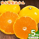 13位! 口コミ数「0件」評価「0」ゆら 早生 みかん 約 5kg (2S～Lサイズ) どの坂果樹園《10月中旬-12月上旬頃出荷予定》 和歌山県 日高町 みかん ゆら早生 旬･･･ 