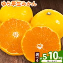 【ふるさと納税】<先行予約>ゆら 早生 みかん 選べる 内容量 約 5kg (2S〜Lサイズ) 約 10kg (2S〜Lサイズ) どの坂果樹園《2025年10月中旬-12月上旬頃出荷予定》 和歌山県 日高町 みかん ゆら早生 旬 柑橘 フルーツ 果物 ミカン 蜜柑 2025年出荷先行予約(4)