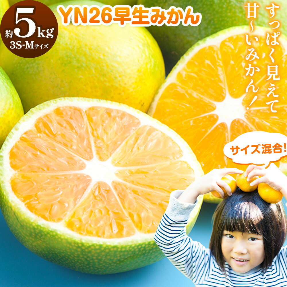 みかん 早生みかん YN26 早生 みかん サイズ混合 約5kg 3S-Mサイズ どの坂果樹園[2026年9月上旬-9月下旬頃出荷]和歌山県 日高町 産地直送 不揃い 柑橘類 みかん 旬 フルーツ 果物 柑橘 送料無料