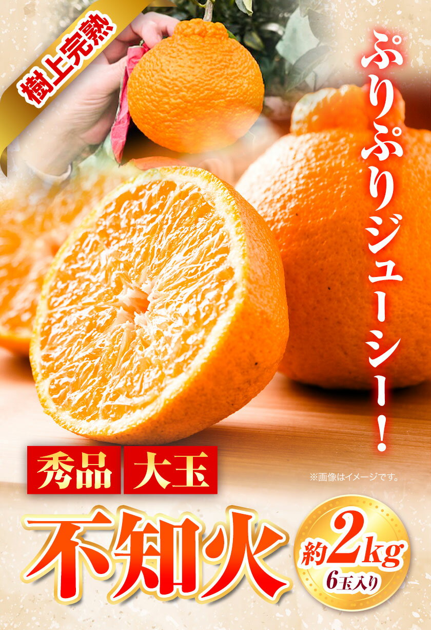 【ふるさと納税】【先行予約】秀品 大玉 不知火 約 2kg 6玉 道の駅 くしがきの里《2026年2月末-4上旬頃出荷》 和歌山県 日高町 果物 フルーツ 柑橘 蜜柑 柑橘類 旬 しらぬい